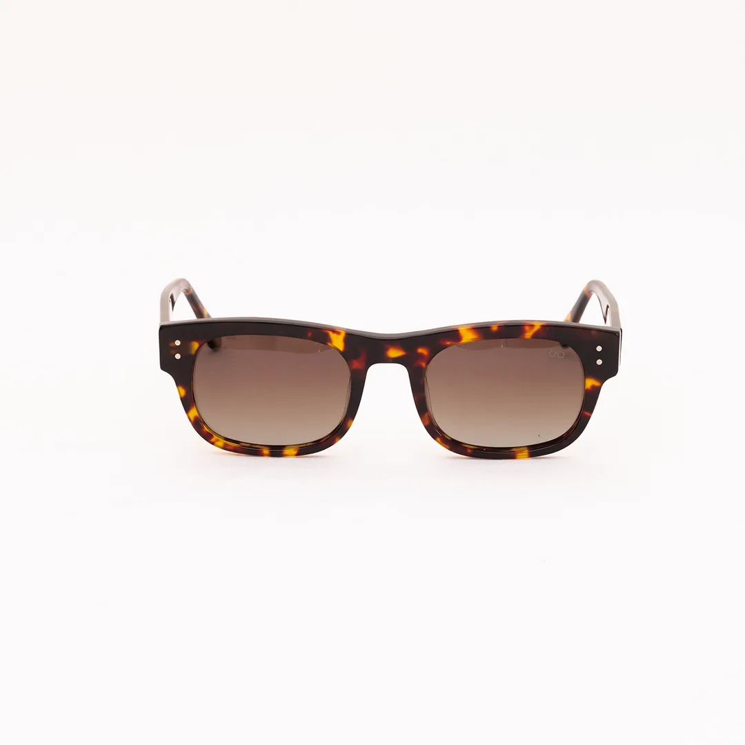 oculos-de-sol-unissex-noir-animal-print